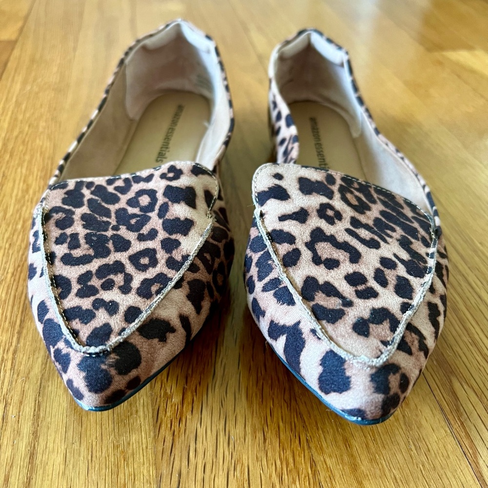 Pointed Toe Flats